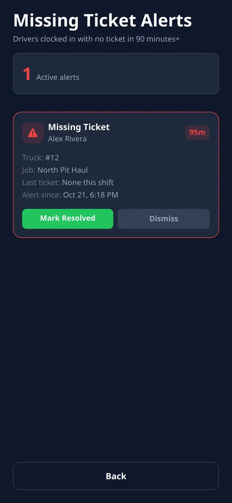 RouteRock missing-ticket alert showing a ticket 95 minutes overdue